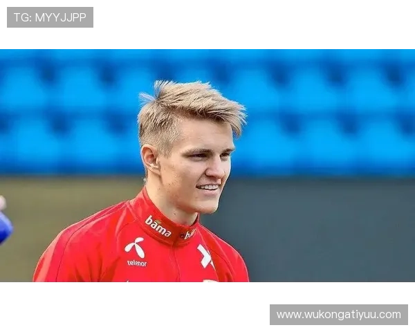 厄德高战术角色与实际贡献的落差分析