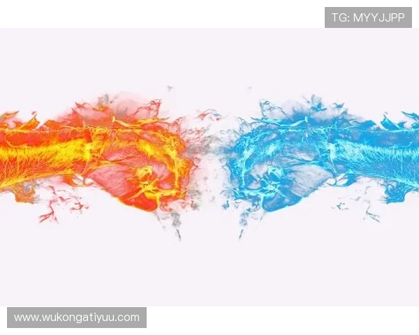 合法冲撞判罚关键：肩膀对抗与触球时机说明